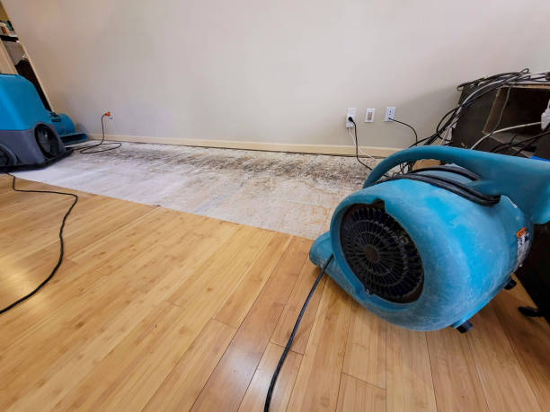 Professional Structural Drying technician working in Pendergrass, GA